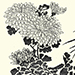 Seikei Suzuki Gallery